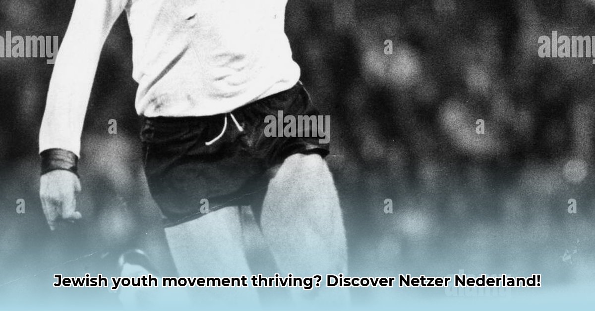 netzer-nederland